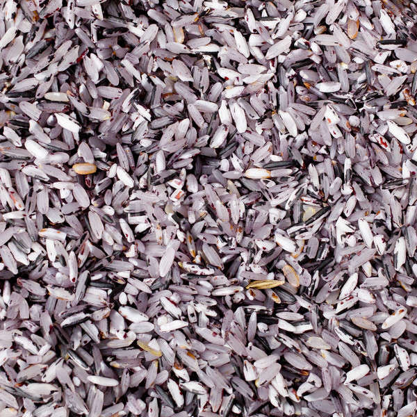 Black sticky rice on white plate isolated over white background. Stock photo © art9858