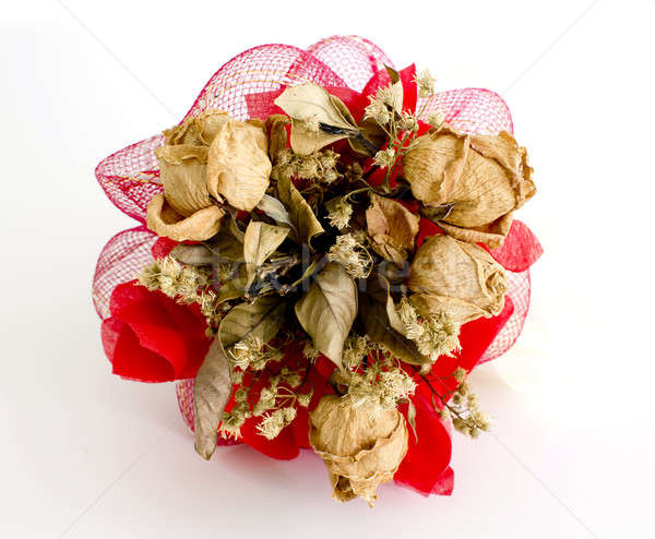 isolated dried rose on white background Stock photo © art9858