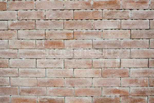 brick wall background Stock photo © art9858