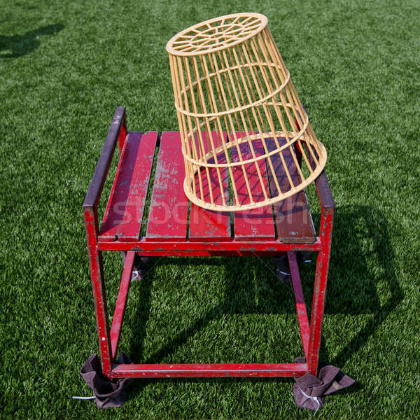 ストックフォト: ペア · バスケット · 椅子 · 芝生 · バスケットボール · フィールド
