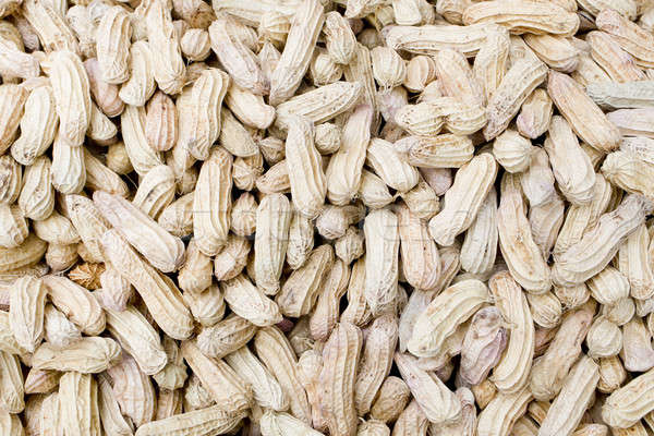 close-up of some peanuts. background Stock photo © art9858