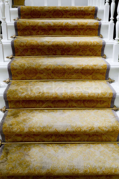 Stockfoto: Trappenhuis · gedekt · luxe · goud · tapijt · gebouw