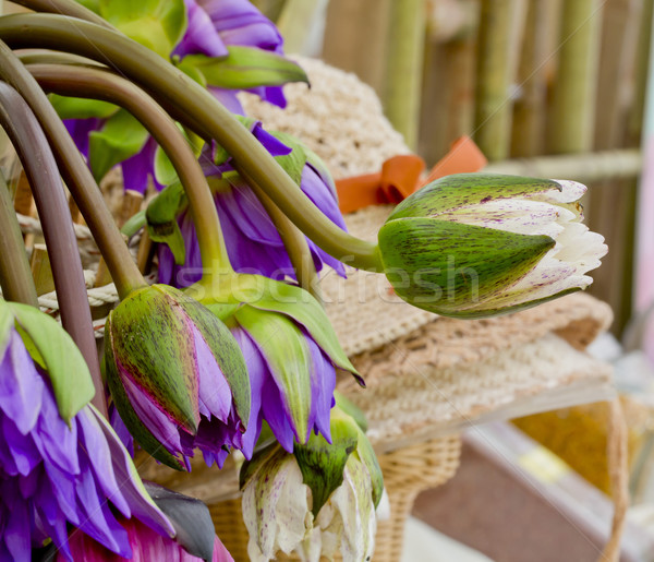 Floristry Pink and purple lotus flowers in glass vase. Stock photo © art9858