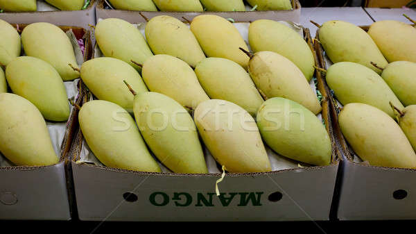 Thai mangoes in market. Premium size mangoes Stock photo © art9858