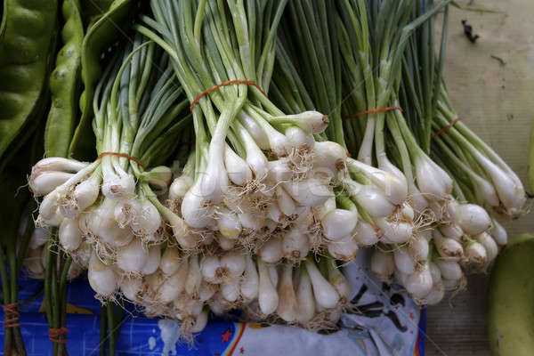 freshly harvested spring onions ready to sell at market Stock photo © art9858