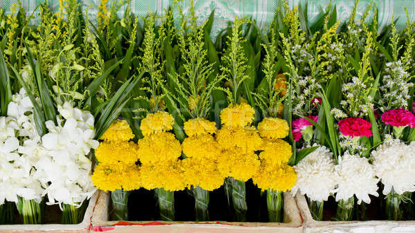 bunch of local Marigold at market in Thailand  for buddha. Handf Stock photo © art9858