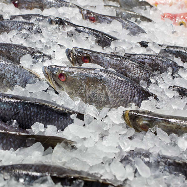 fishes on ice at the fish market 由 上線自 april 12, 2015