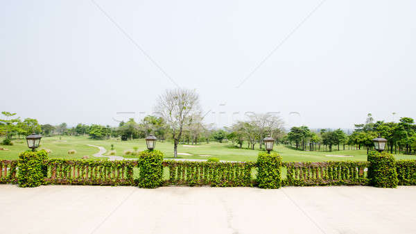 Terrace with vines and lattern Stock photo © art9858