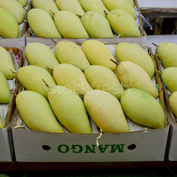 Thai mangoes in market. Premium size mangoes Stock photo © art9858