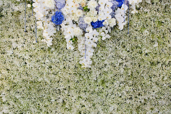 Сток-фото: роскошь · свадьба · фон · цветы