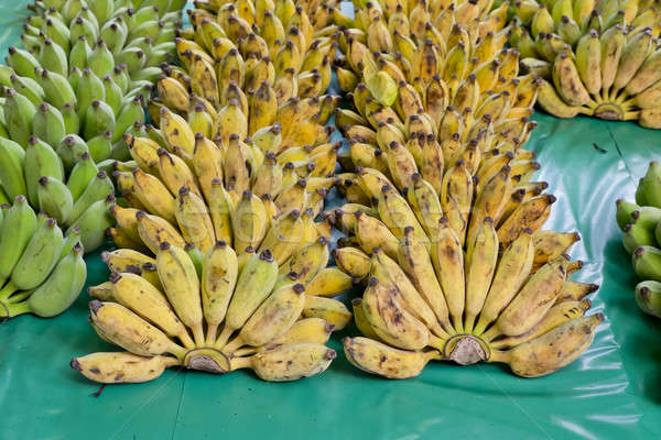 Bunch of ripe bananas Stock photo © art9858