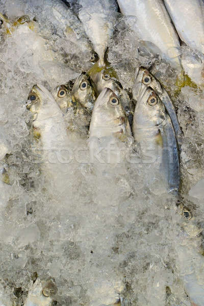 fresh fish on ice at the market in Thailand Stock photo © art9858