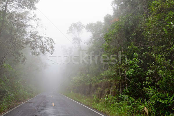 Stok fotoğraf: Yol · orman · dumanlı · sis · araba · ağaç · manzara