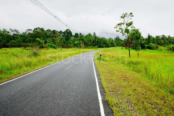 Stock photo: Winding Road Through a Forest