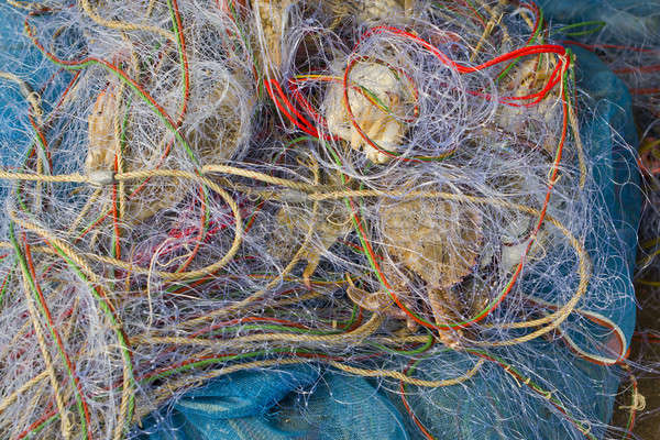 синий рыболовная сеть бумаги стены аннотация пространстве Сток-фото © art9858