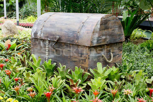 old wood box in the garden Stock photo © art9858
