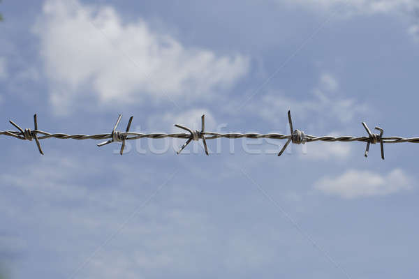 Barb wire fence with blue sky Stock photo © art9858
