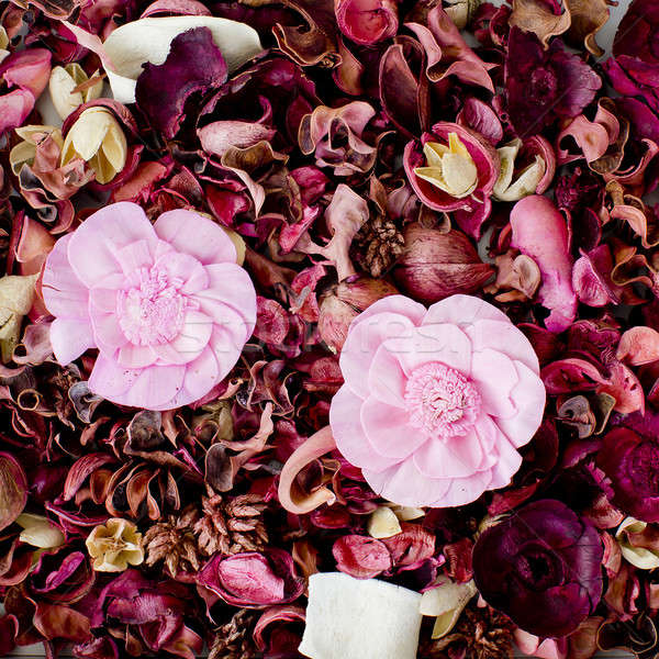 Dried flowers composition Stock photo © art9858