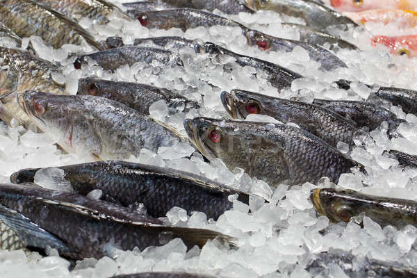 Fresh fishes on ice at the fish market Stock photo © art9858