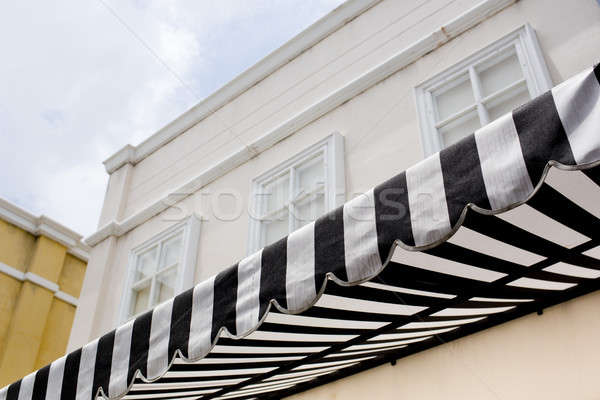 Foto stock: Blanco · negro · a · rayas · flor · pared · calle · casa