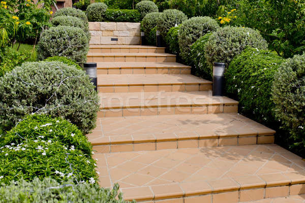 Orange Tiles Stair Steps Leading up to house with small trees. Stock photo © art9858