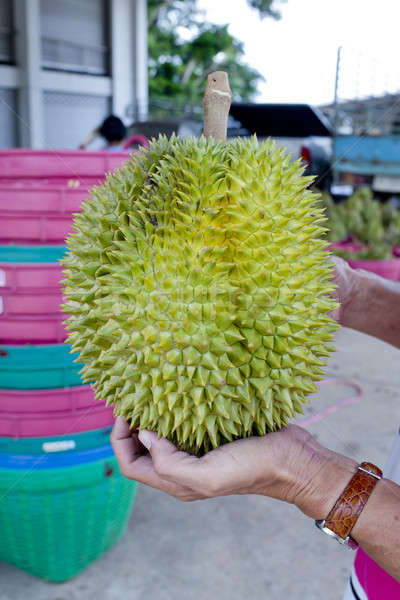Stock photo: Put Durian on left hand