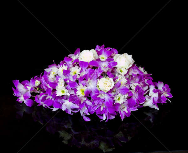 Purple orchid on black Stock photo © art9858