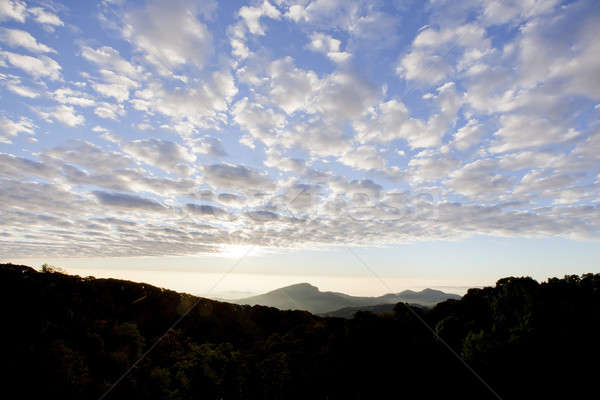 Capas montanas niebla amanecer forestales mundo Foto stock © art9858