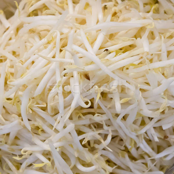 Stock photo: bean sprouts background texture