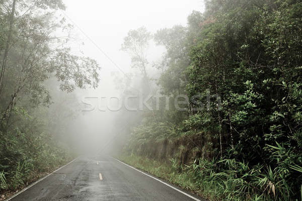 Stock photo: Road through the forest - Road with smog