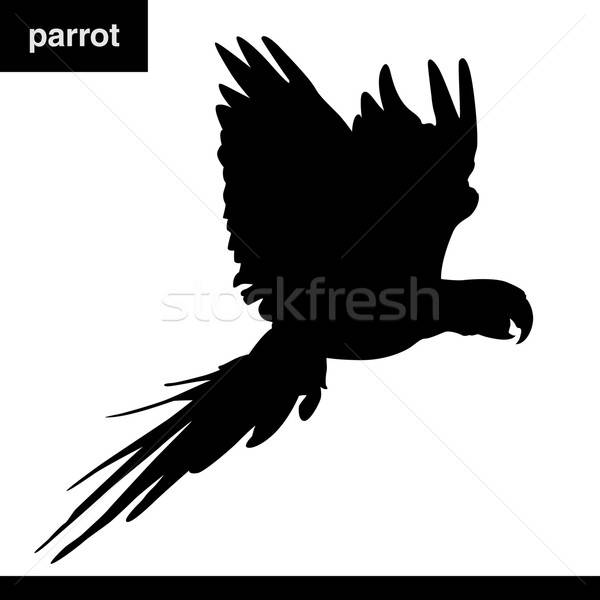 Stok fotoğraf: Papağan · siluet · vektör · doğa · ışık · arka · plan