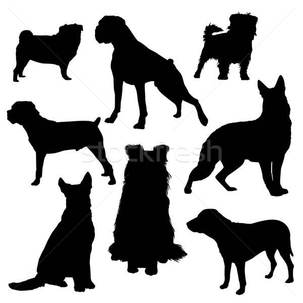 Köpek siluet ayarlamak köpekler vektör siluetleri Stok fotoğraf © artag