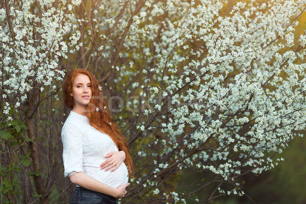 美しい 妊婦 庭園 立って 木 ストックフォト © artfotodima