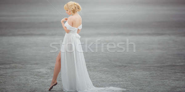Beautiful bride outdoors in a desert. Stock photo © artfotodima