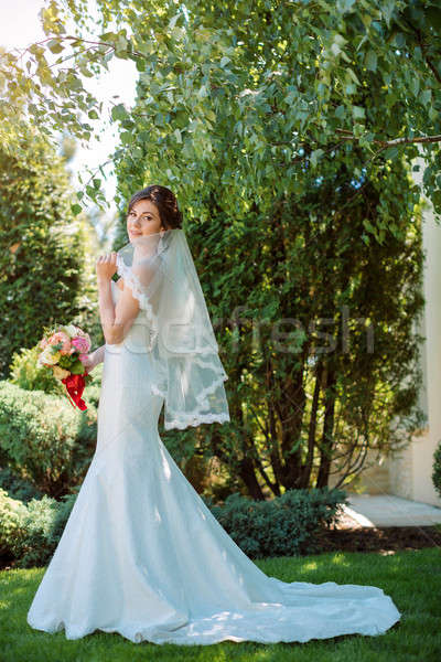 Belo noiva natureza vestido de noiva jogar véu Foto stock © artfotodima