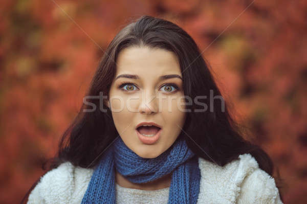 Surprised Autumn Woman Fashion Model Portrait Stock photo © artfotodima