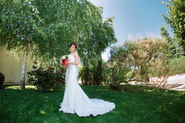 Hermosa novia naturaleza vestido de novia aire libre parque Foto stock © artfotodima