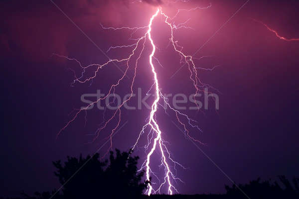 lightning  Stock photo © artfotodima