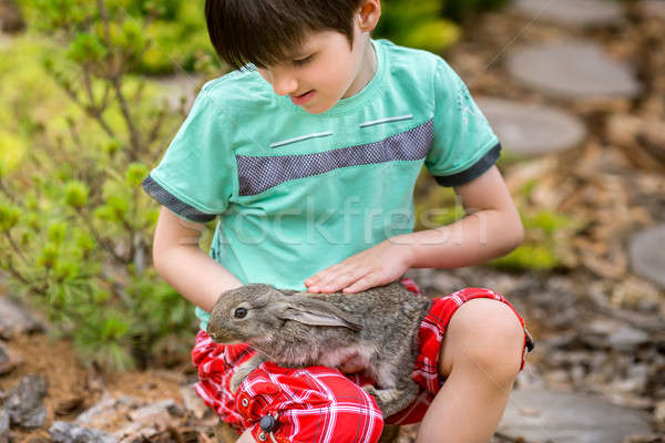 Rabbit is Beautiful animal of Nature Stock photo © artfotodima