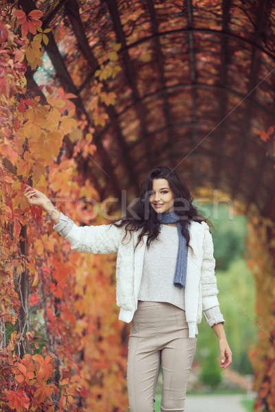 Autumn girl portrait in city park outdoors Stock photo © artfotodima