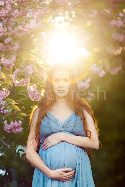 Jeunes femme enceinte détente vie nature [[stock_photo]] © artfotodima