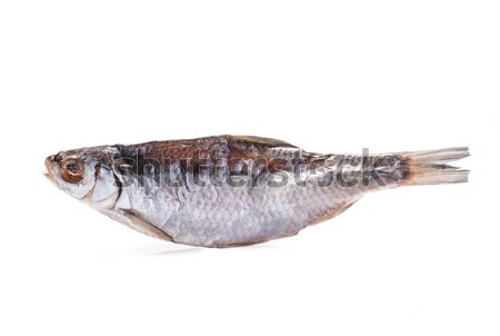 Dried fish on a white background Stock photo © artfotoss