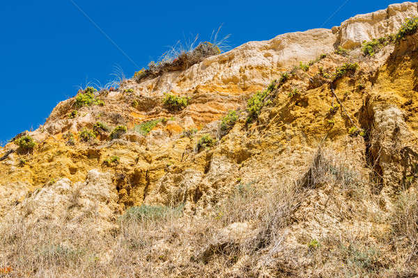 Portugal. Sand mountain on the Atlantic coast. Stock photo © artfotoss