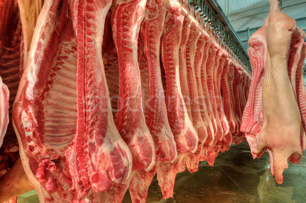 Fresh meat in a cold cut factory Stock photo © artfotoss