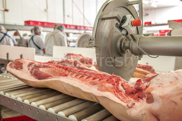 [[stock_photo]]: Porc · viande · alimentaire · industrie · travaux
