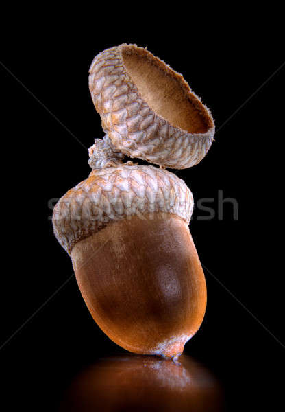 Foto stock: Bolota · carvalho · isolado · preto · comida · saúde