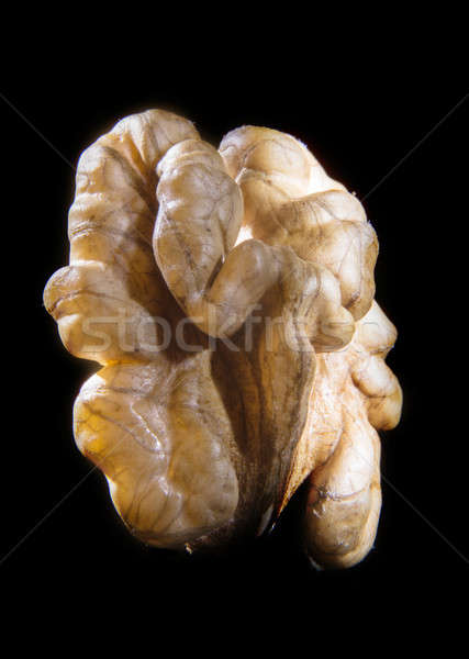 walnut Stock photo © artfotoss