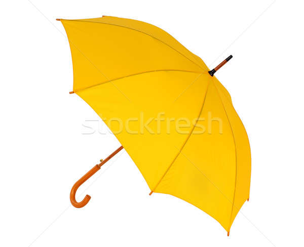 yellow umbrella on a white background Stock photo © artfotoss