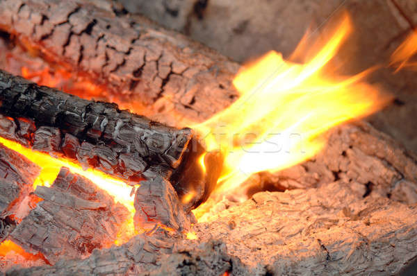 Burning logs in the fireplace Stock photo © artfotoss