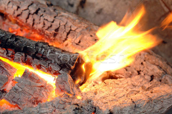 [[stock_photo]]: Brûlant · cheminée · feu · flammes · intérieur · jaune